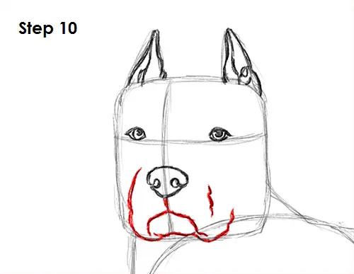 Draw Pit Bull 10