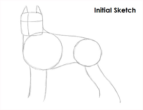 Draw Pit Bull Sketch