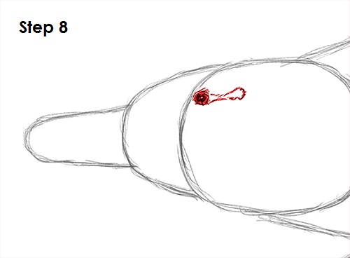 Draw Platypus 8