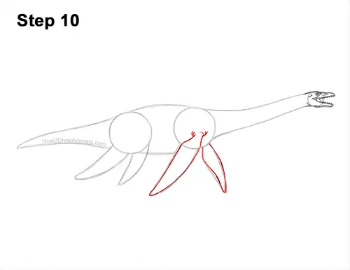 How to Draw a Plesiosaurus Marine Dinosaur 10