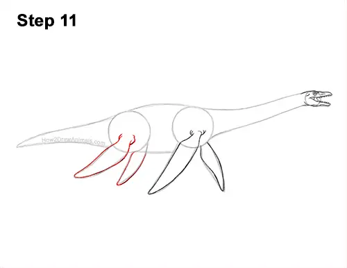 How to Draw a Plesiosaurus Marine Dinosaur 11