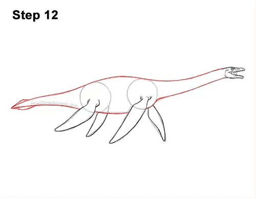 How to Draw a Plesiosaurus Marine Dinosaur 12