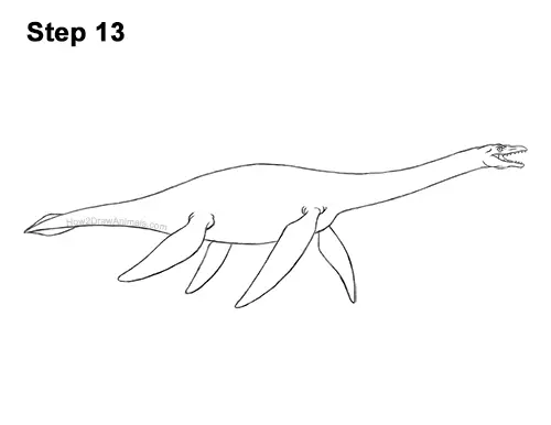 How to Draw a Plesiosaurus Marine Dinosaur 13
