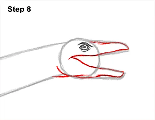 How to Draw a Plesiosaurus Marine Dinosaur 8