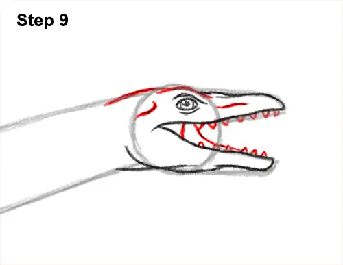 How to Draw a Plesiosaurus Marine Dinosaur 9