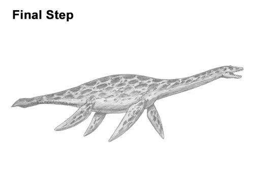 How to Draw a Plesiosaurus Marine Dinosaur