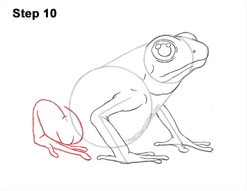 How to Draw a Striped Poison Dart Frog 10