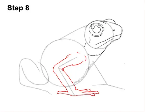 How to Draw a Striped Poison Dart Frog 8