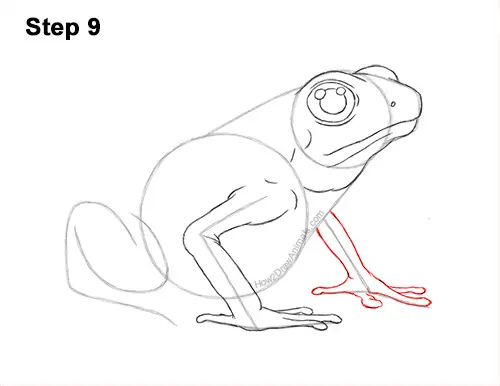 How to Draw a Striped Poison Dart Frog 9