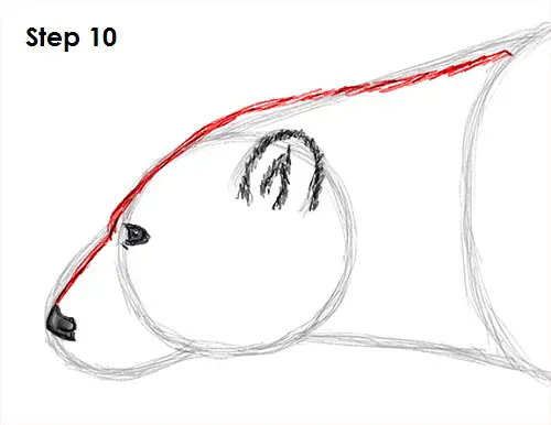 Draw Polar Bear 10