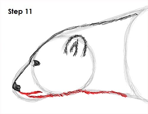 Draw Polar Bear 11