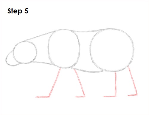 Draw Polar Bear 5