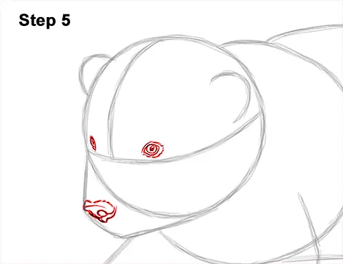 How to Draw a Cute Baby Polar Bear Cub 5