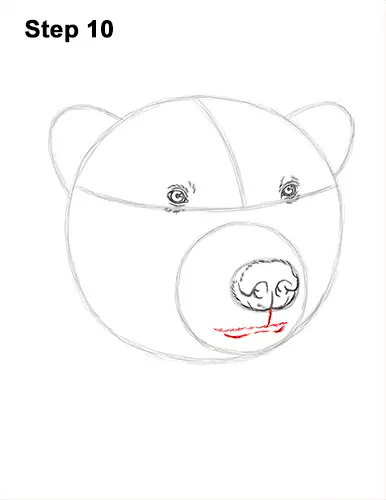 How to Draw a Polar Bear Portrait Head Face 10