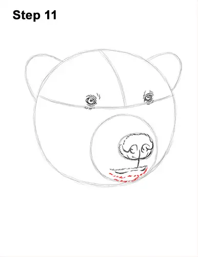 How to Draw a Polar Bear Portrait Head Face 11