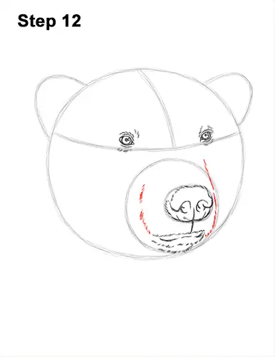 How to Draw a Polar Bear Portrait Head Face 12
