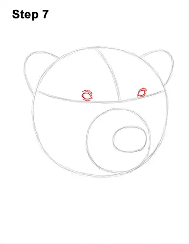 How to Draw a Polar Bear Portrait Head Face 7