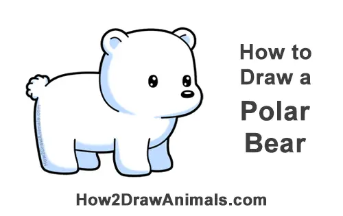 How To Draw A Polar Bear Cartoon Video Step By Step Pictures