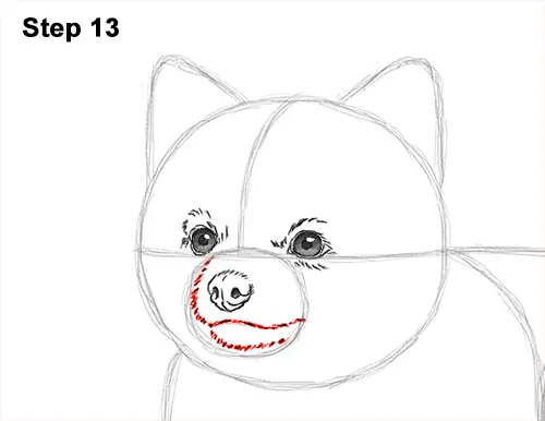 How to Draw a Cute Pomeranian Puppy Dog 13