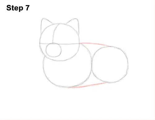 How to Draw a Dog (Pomeranian)