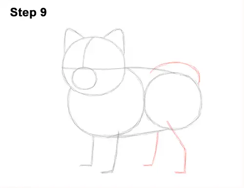 How to Draw a Dog (Pomeranian)