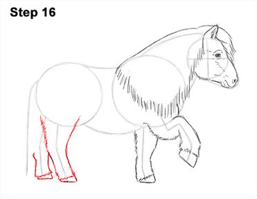 how to draw a pony step by step