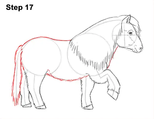 Draw Shetland Pony 17
