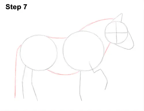 Draw Shetland Pony 7