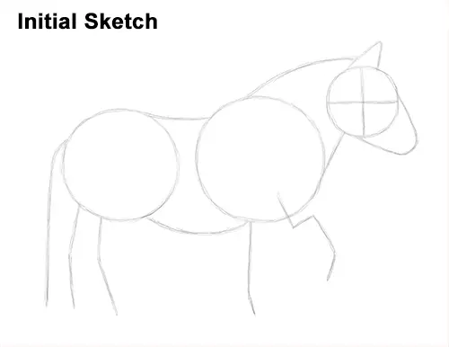 Draw Shetland Pony Sketch