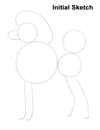 Draw Poodle Dog Sketch