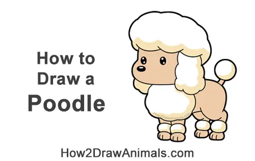 How to Draw a Cute Cartoon Poodle Puppy Dog Chibi Kawaii