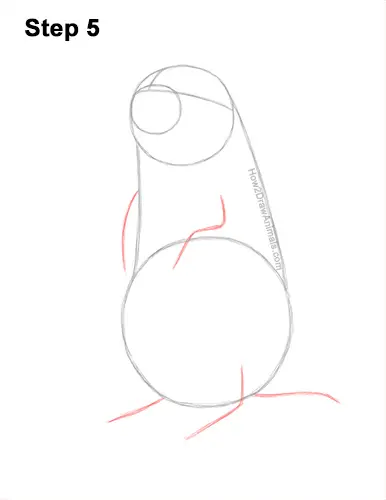 How to Draw a Black-Tailed Prairie Dog Standing Up 5