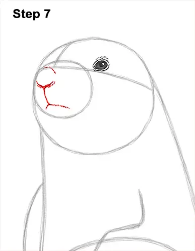 How to Draw a Black-Tailed Prairie Dog Standing Up 7