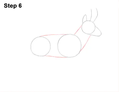 How to Draw a Pronghorn Anelope Buck Walking 6