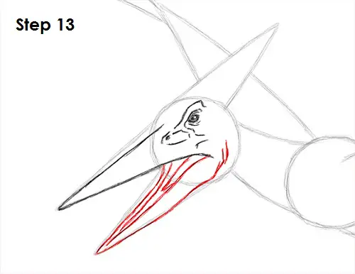 Draw Pteranodon Dinosaur 13
