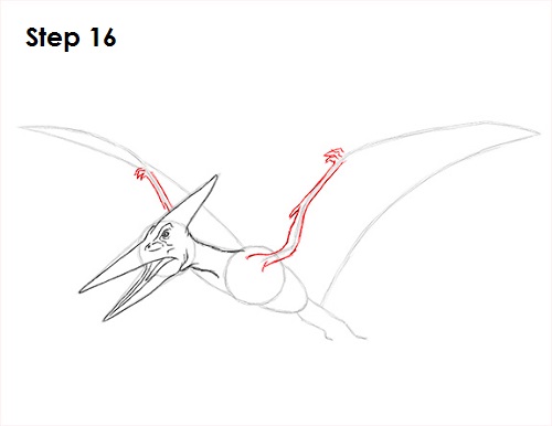 Draw Pteranodon Dinosaur 16