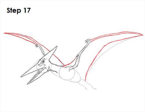 Draw Pteranodon Dinosaur 17