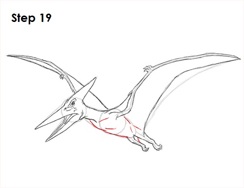 Draw Pteranodon Dinosaur 19