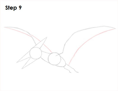 Draw Pteranodon Dinosaur 9
