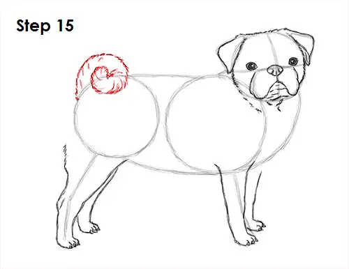 How To Draw A Dog Pug Video Step By Step Pictures