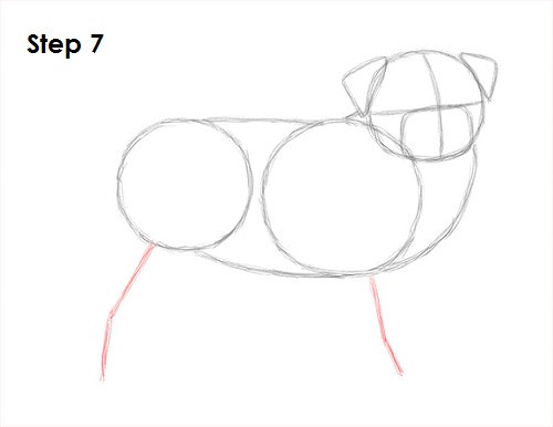 Draw Pug Drawing 7