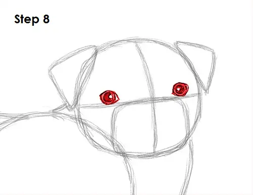 Draw Pug Drawing 8