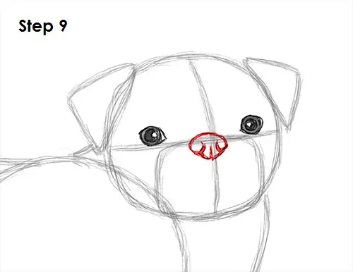 Draw Pug Drawing 9