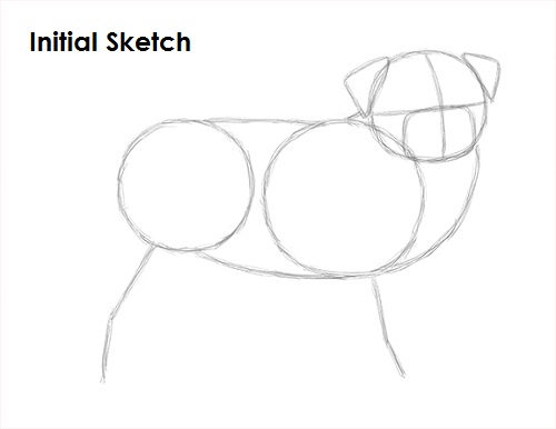 Draw Pug Drawing Sketch