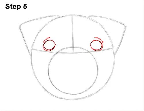 How to Draw Pug Puppy Dog Head Face Portrait 5
