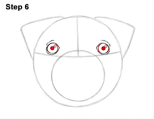 How to Draw Pug Puppy Dog Head Face Portrait 6