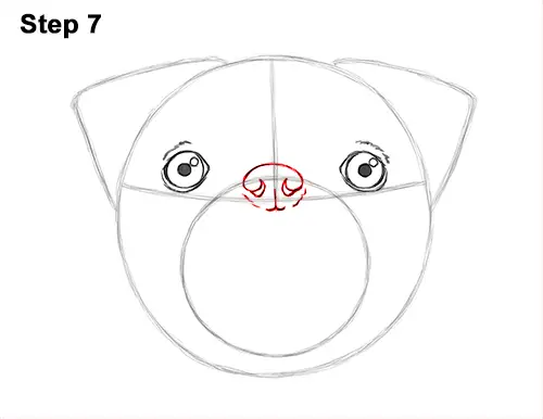 How to Draw Pug Puppy Dog Head Face Portrait 7