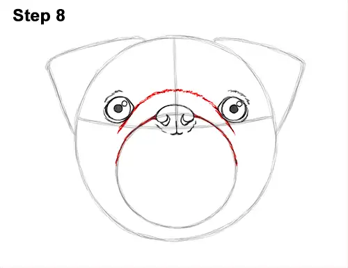 How to Draw a Pug (Head Detail)