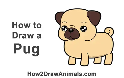 How to Draw a Pug (Cartoon) VIDEO & Step-by-Step Pictures