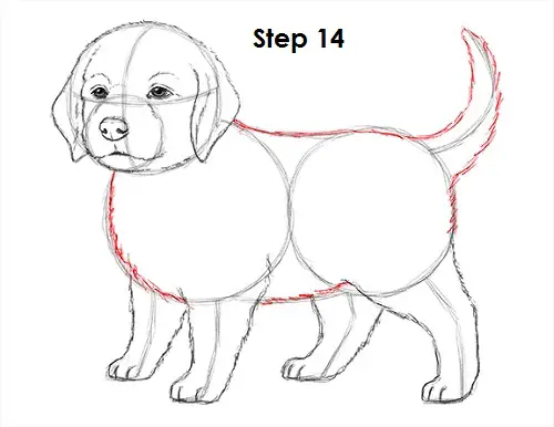 Draw Puppy Dog 14